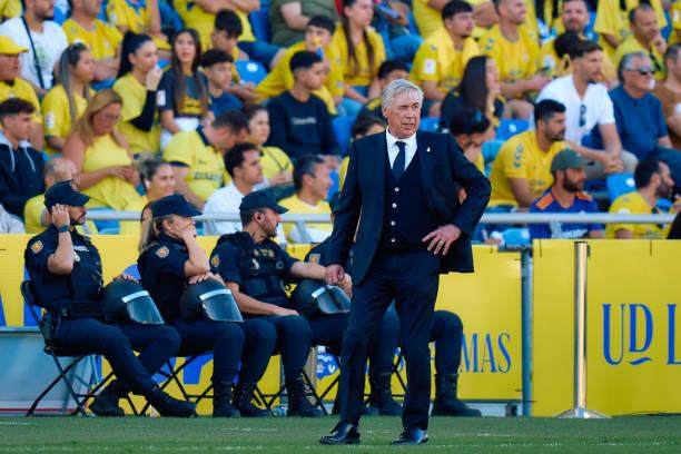 1706403395481069679.jpg 1965502532-612x612.jpg